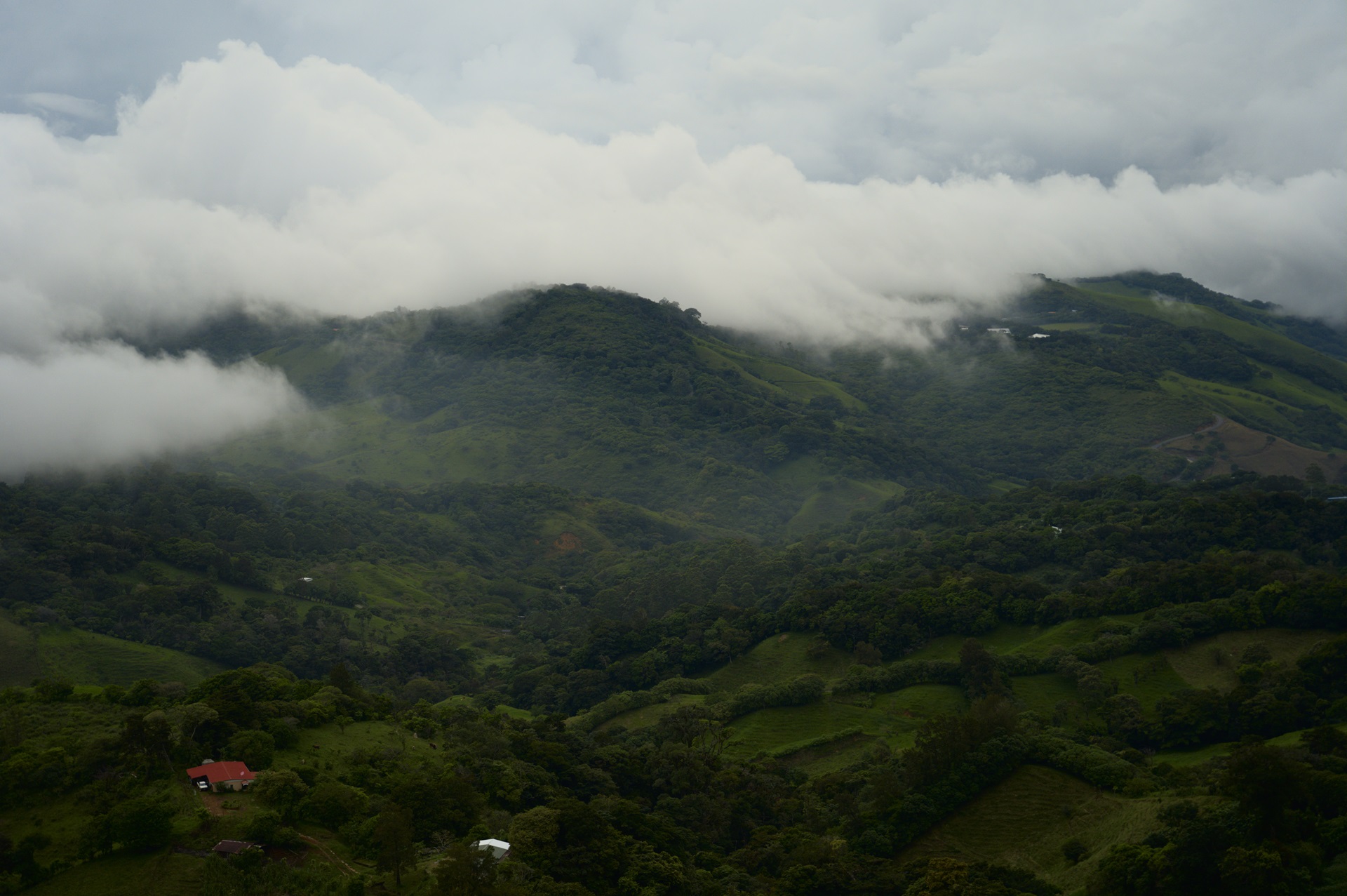 Monteverde
