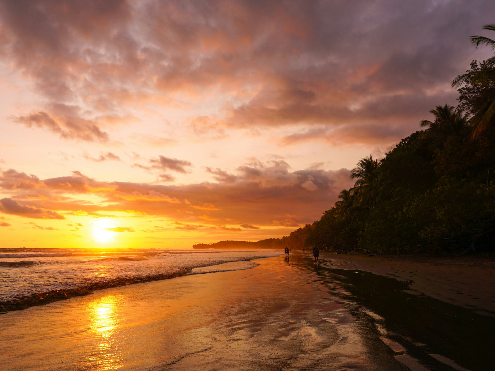 Über Costa Rica costa rica beach ii